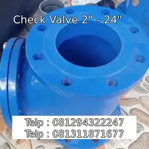 Check Valve 2" - 24"