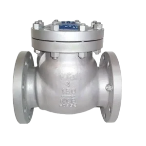 Check Valve