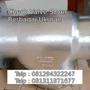 Check Valve Silver Berbagai Ukuran