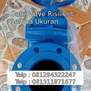 Gate Valve Risilient Semua Ukuran