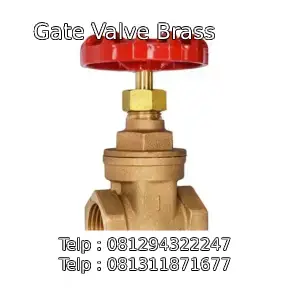 Gate Valve Brass